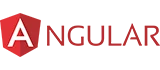 angular js